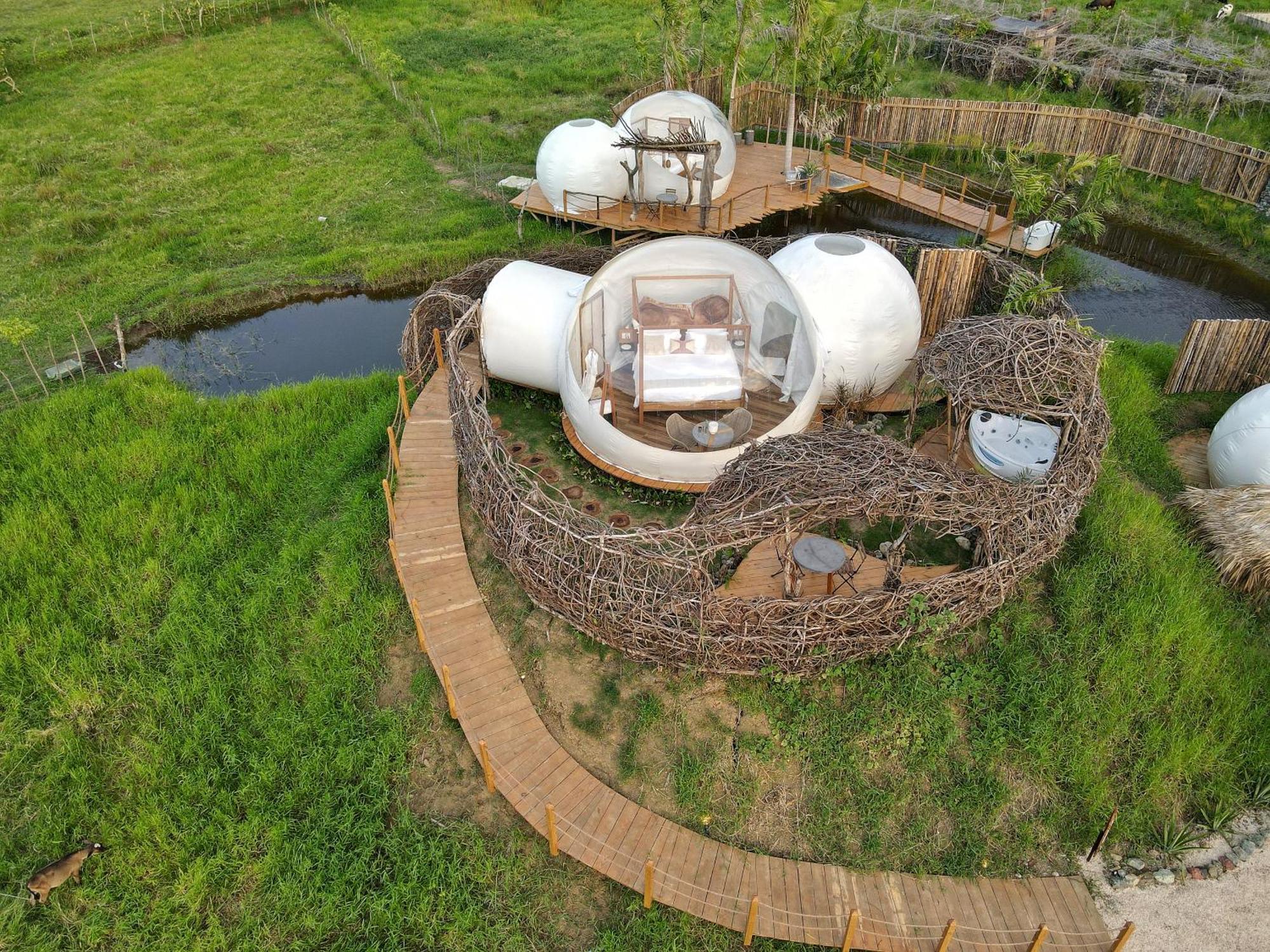 Green Land Bubble Glamping Cabarete Kamer foto