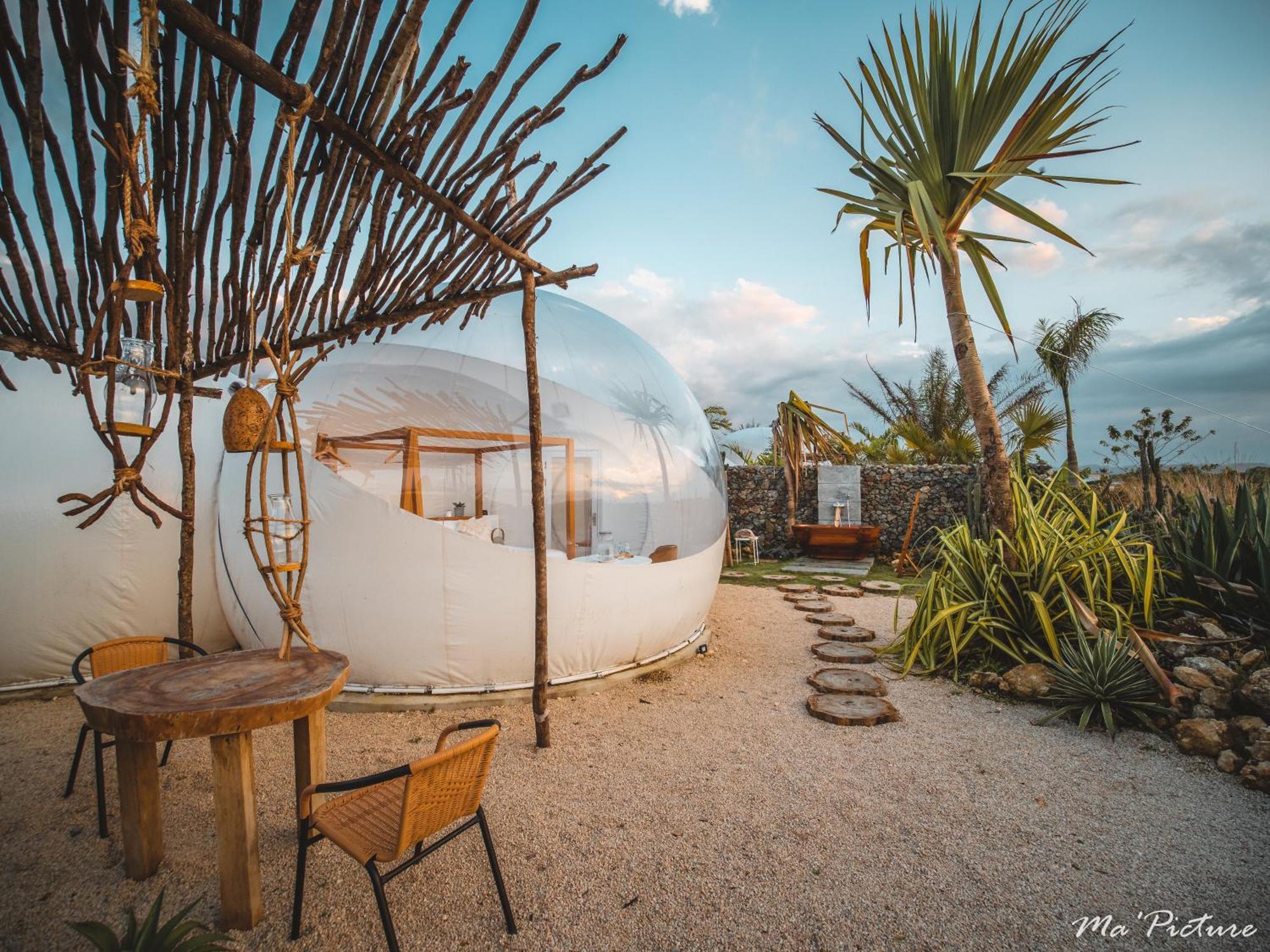 Green Land Bubble Glamping Cabarete Kamer foto