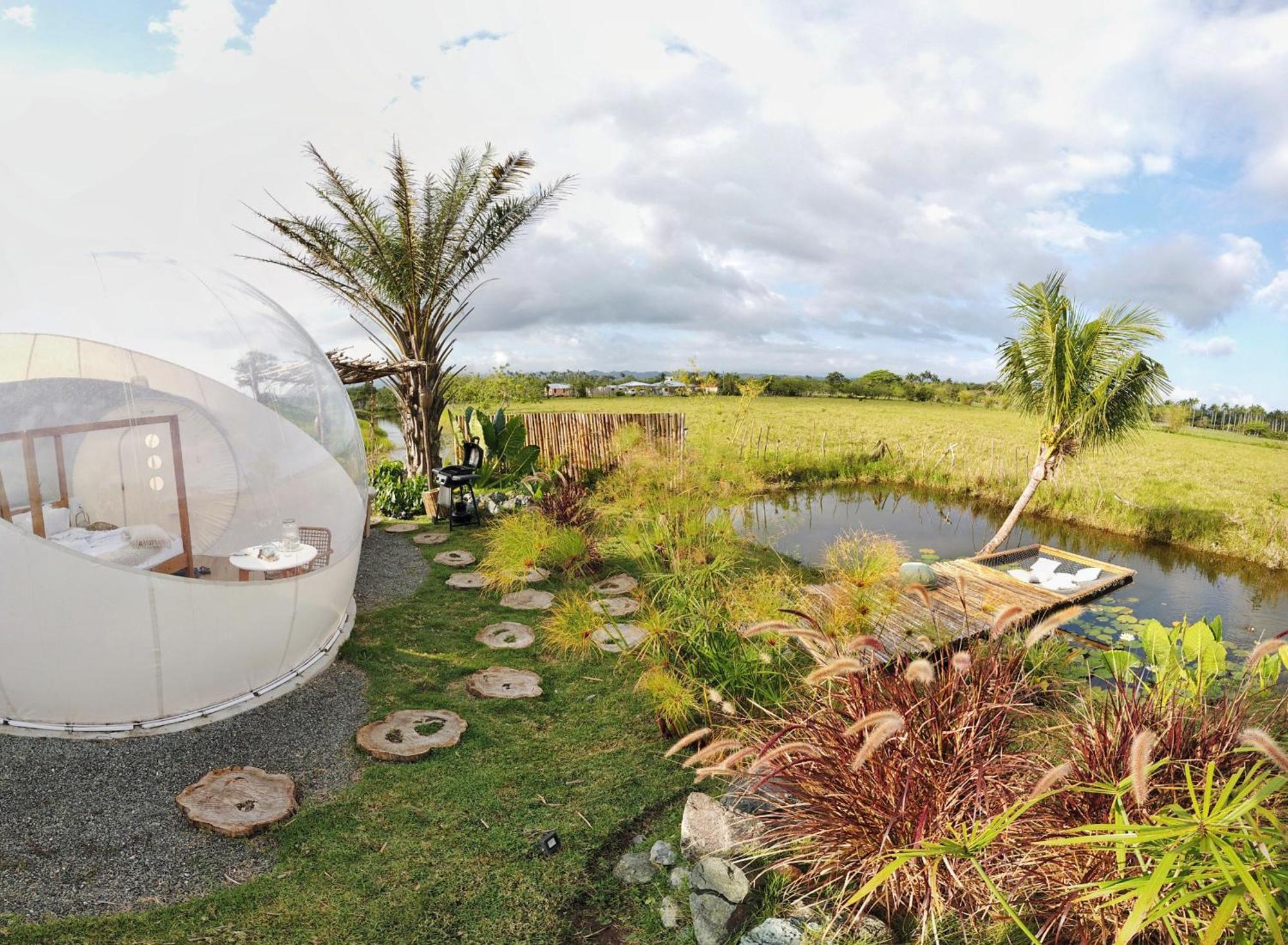 Green Land Bubble Glamping Cabarete Kamer foto