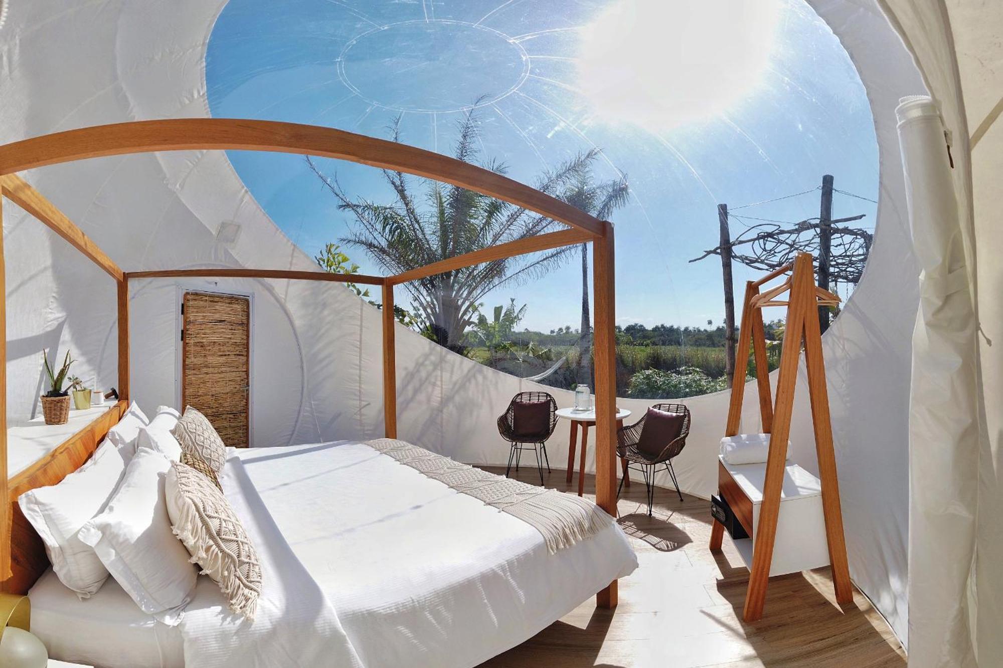 Green Land Bubble Glamping Cabarete Kamer foto