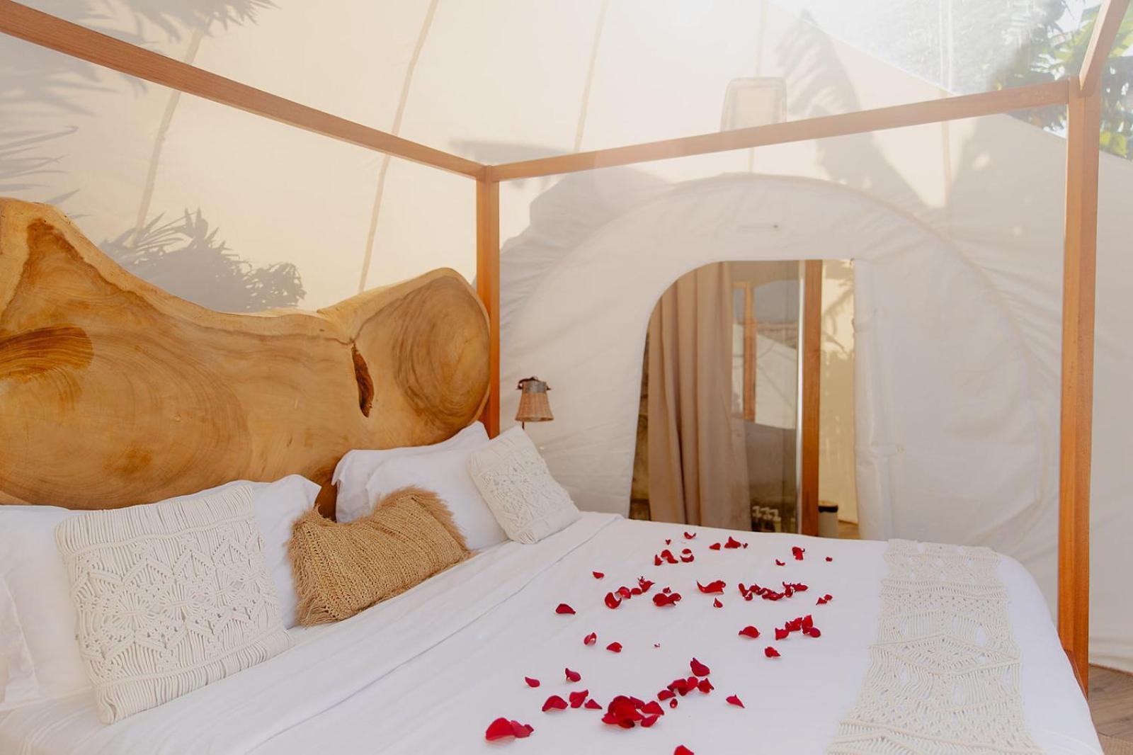 Green Land Bubble Glamping Cabarete Buitenkant foto