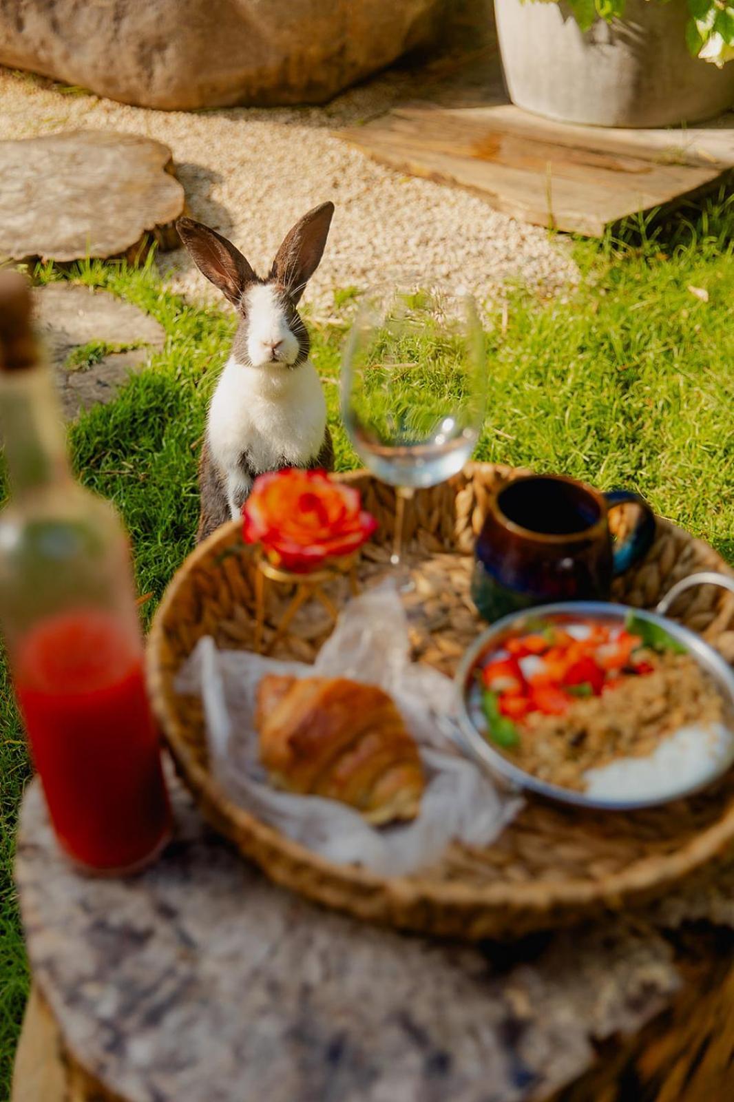 Green Land Bubble Glamping Cabarete Buitenkant foto