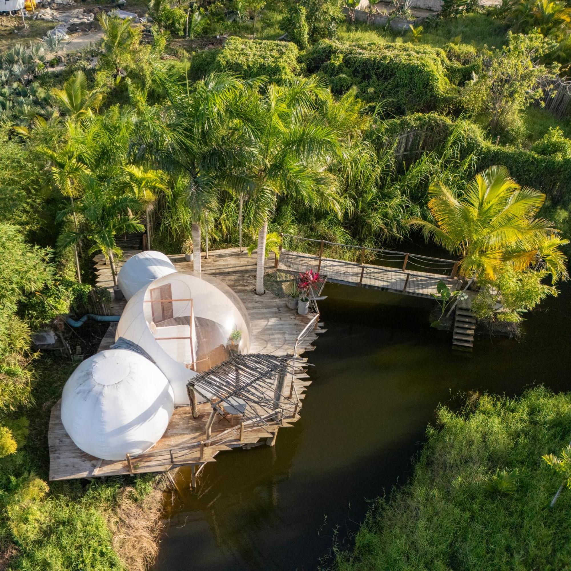 Green Land Bubble Glamping Cabarete Buitenkant foto